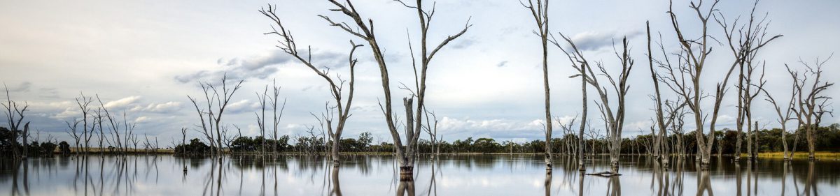 Book Perth Farmstay Tour with Boshack Outback